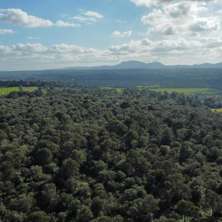 Magnifica Villa tranquila en el centro de Mallorca Biniali  Exterior foto